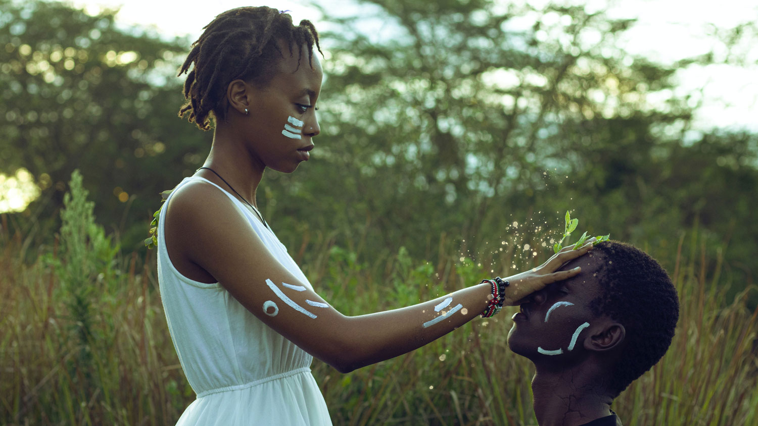 Afrikanisches Traditionelles Knowledge